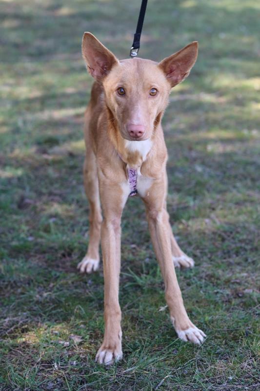 multimedia-foto64280-13-1