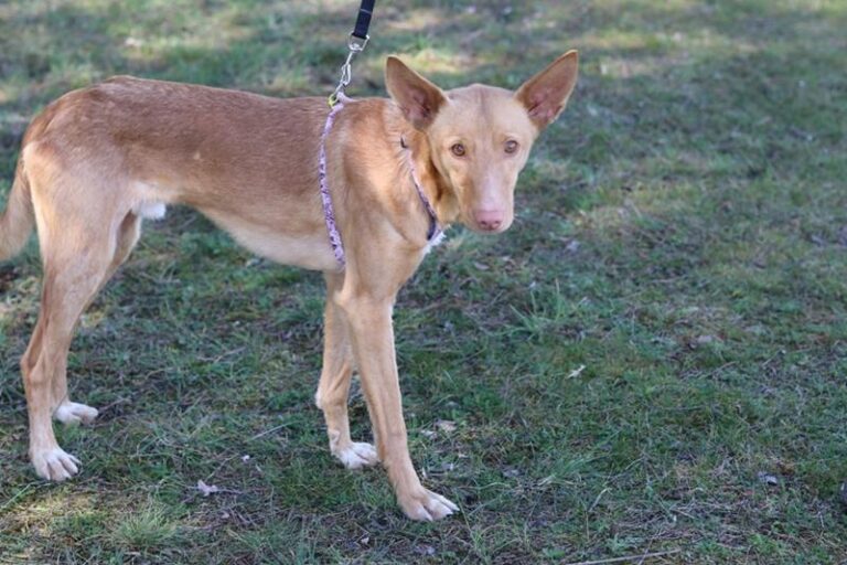 multimedia-foto64281-14-1