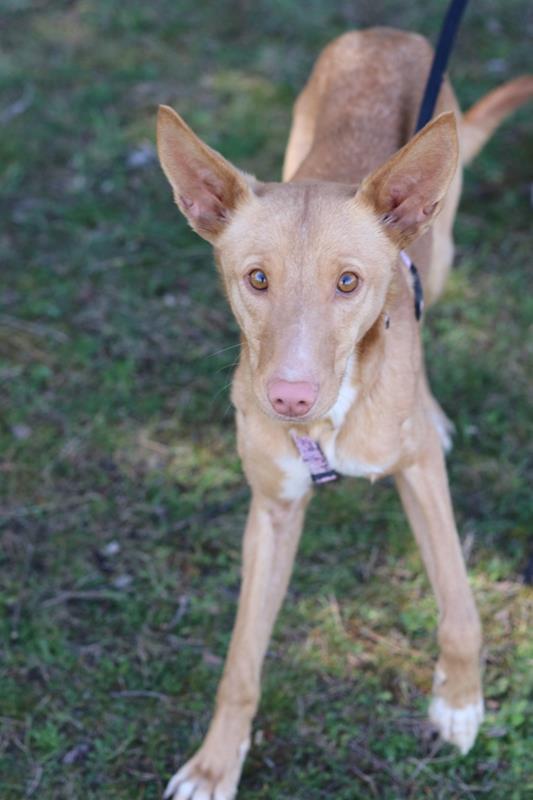 multimedia-foto64282-14-1