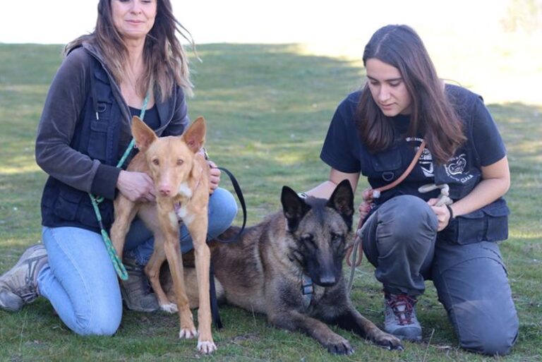 multimedia-foto64283-14-1