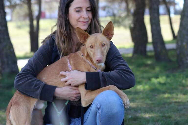 multimedia-foto64284-15-1