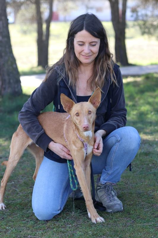 multimedia-foto64285-15-1