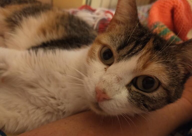 multimedia-foto64292-487-1