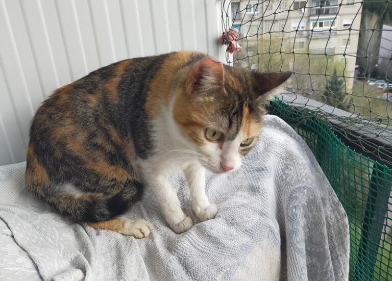 multimedia-foto64294-488-1