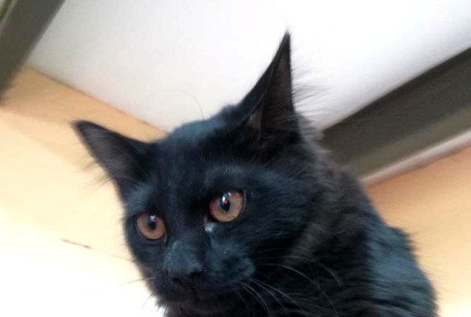 multimedia-foto64374-142-1