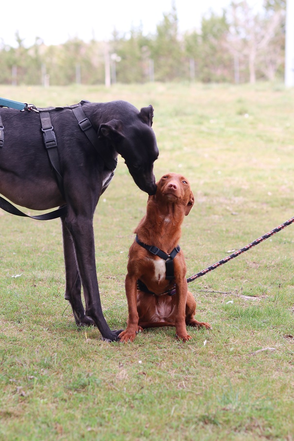 multimedia-foto64395-222-1