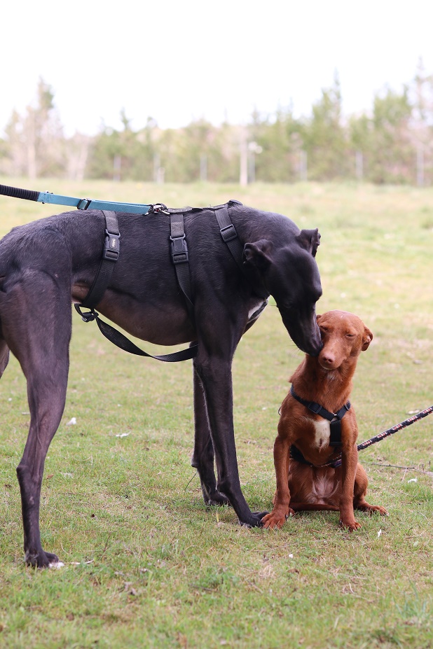 multimedia-foto64396-222-1