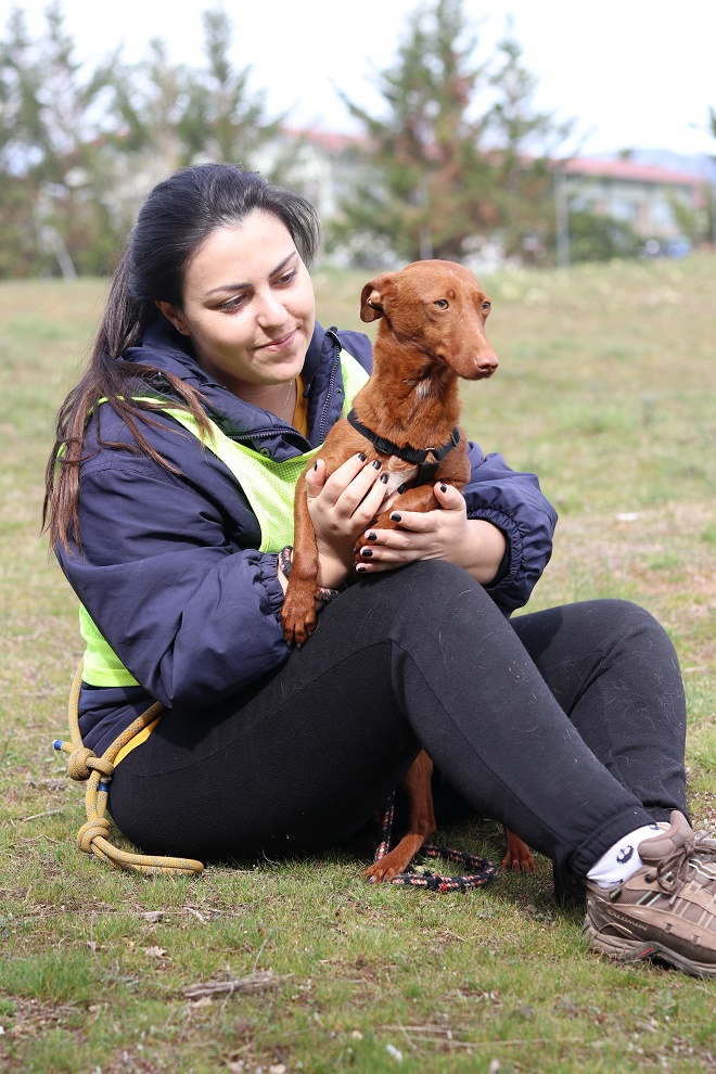 multimedia-foto64397-223-1