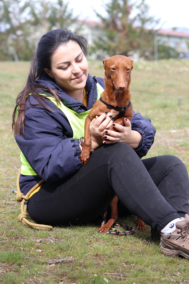 multimedia-foto64398-223-1