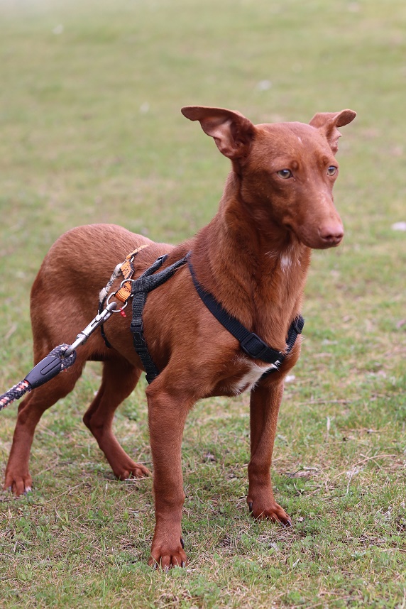 multimedia-foto64399-224-1