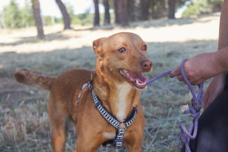 multimedia-foto64406-820-1