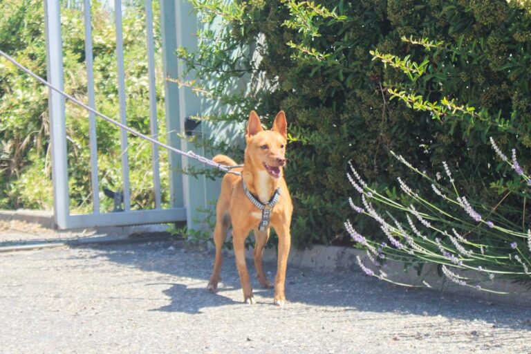 multimedia-foto64408-821-1