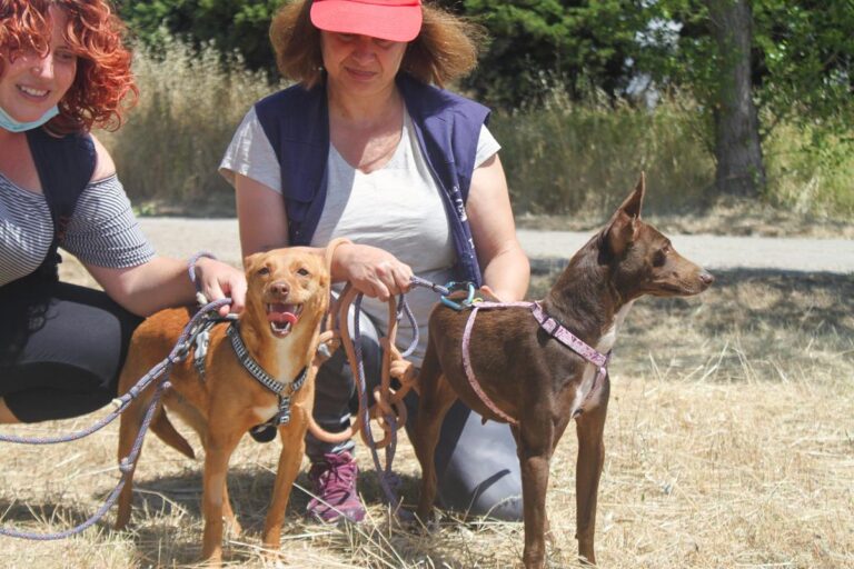 multimedia-foto64409-821-1