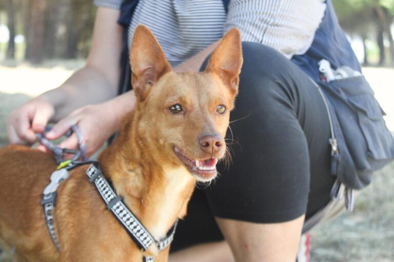 multimedia-foto64410-822-1