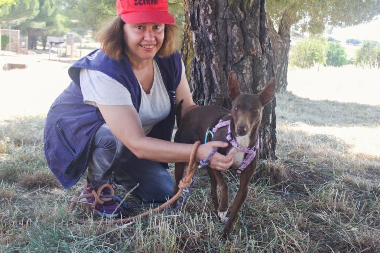 multimedia-foto64413-233-1