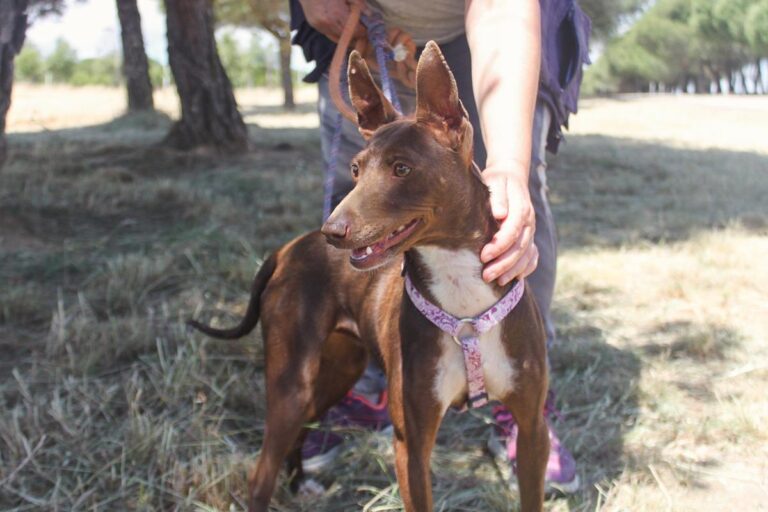 multimedia-foto64414-233-1