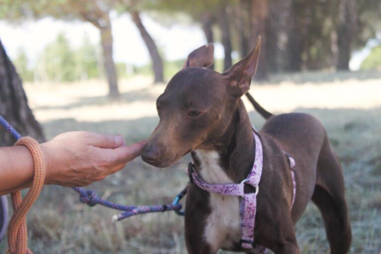 multimedia-foto64417-235-1