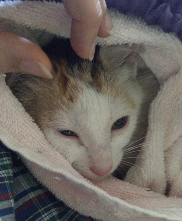 multimedia-foto64418-141-1