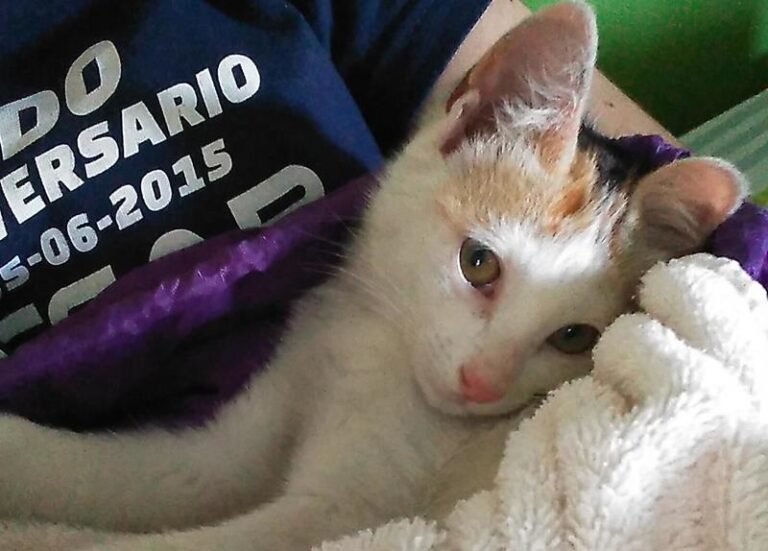 multimedia-foto64419-142-1