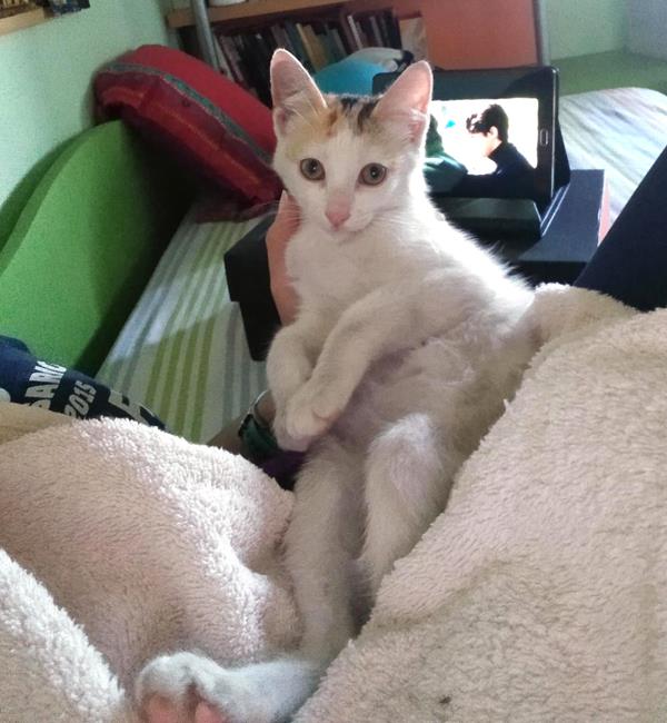 multimedia-foto64420-142-1