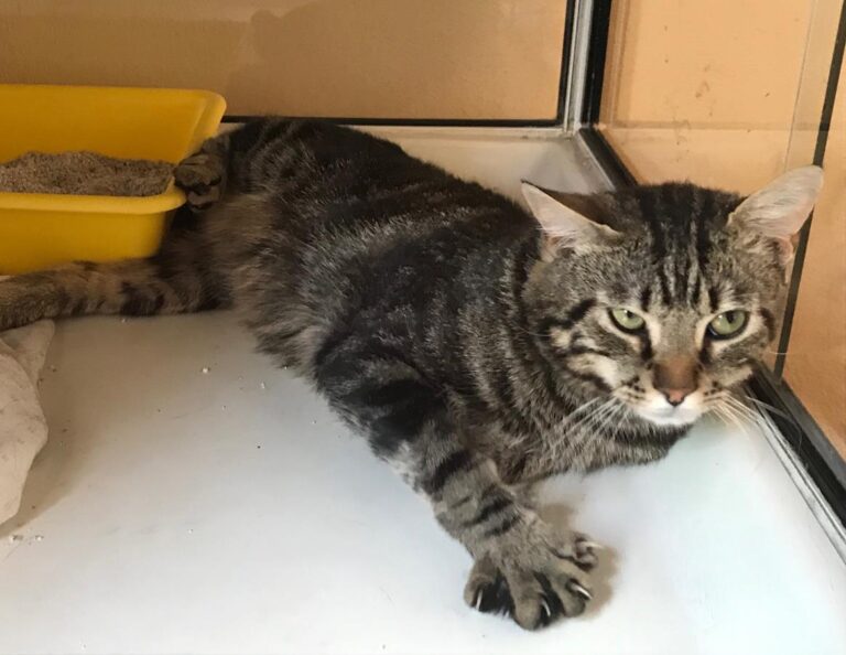 multimedia-foto64429-995-1