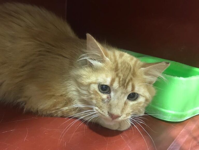 multimedia-foto64436-716-1