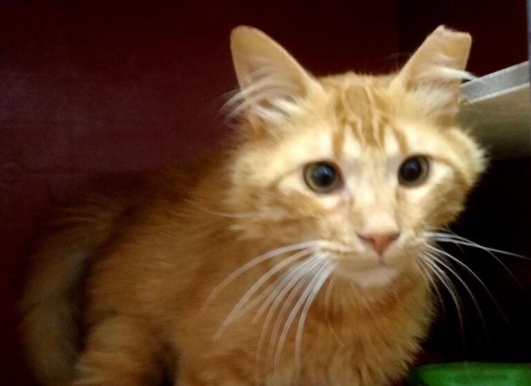 multimedia-foto64442-719-1