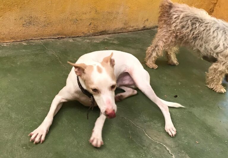 multimedia-foto64443-354-1