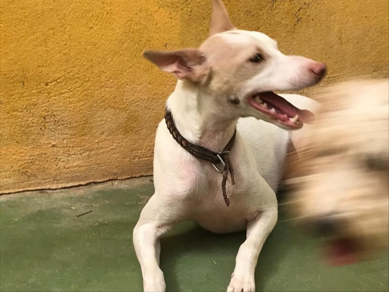 multimedia-foto64446-356-1