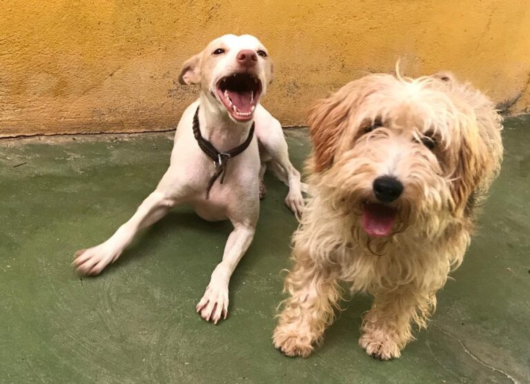 multimedia-foto64447-356-1