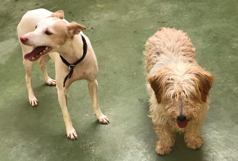 multimedia-foto64448-357-1