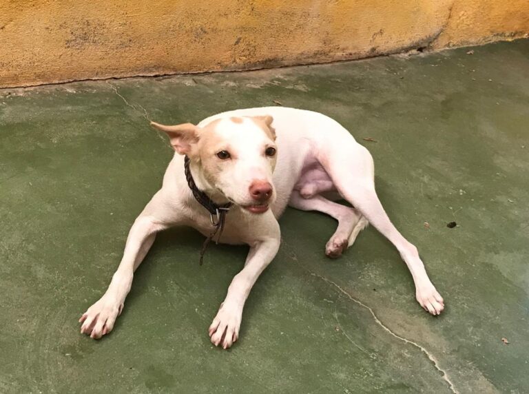 multimedia-foto64449-358-1