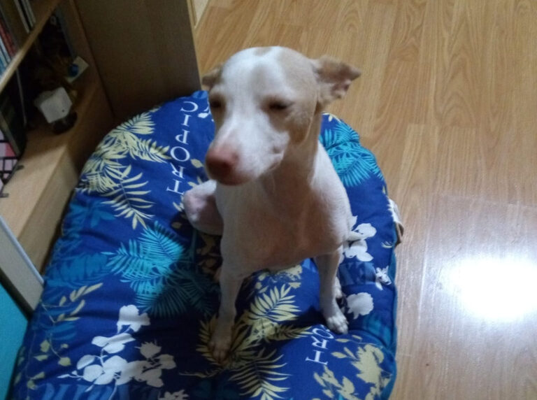 multimedia-foto64452-359-1