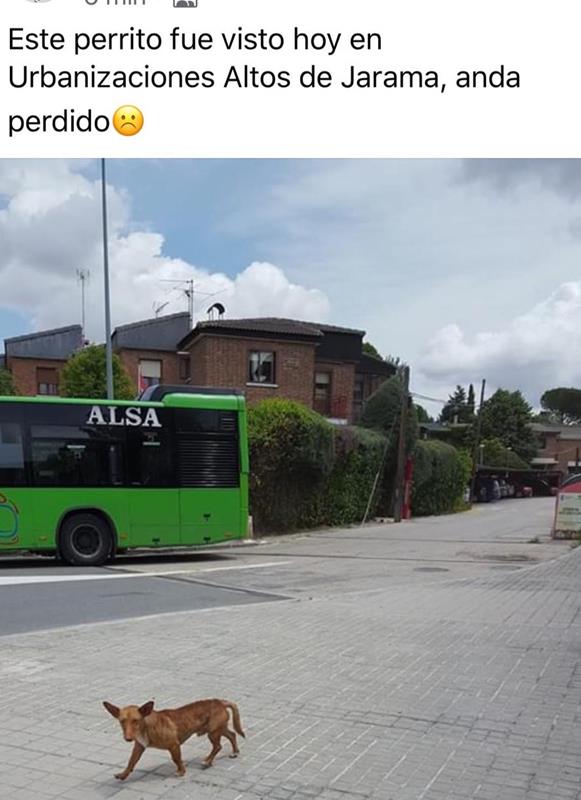 multimedia-foto64458-220-1