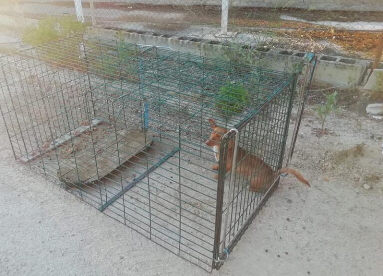 multimedia-foto64459-221-1