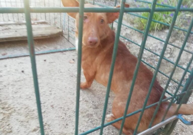 multimedia-foto64460-221-1