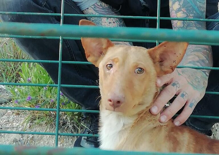 multimedia-foto64461-221-1