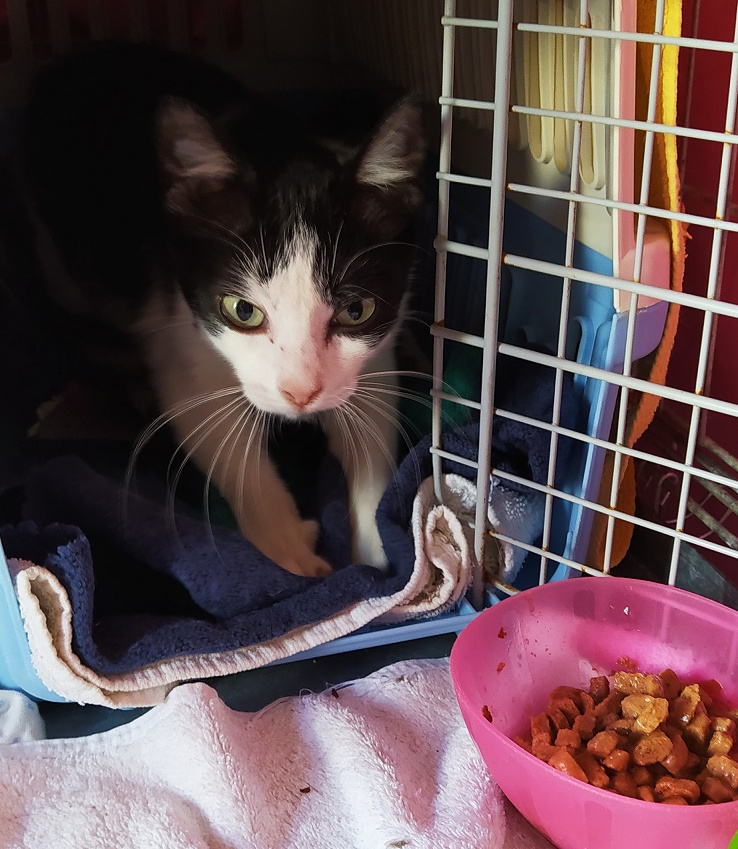 multimedia-foto64494-751-1