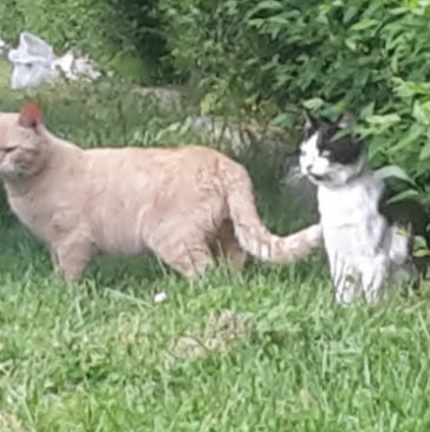 multimedia-foto64495-751-1