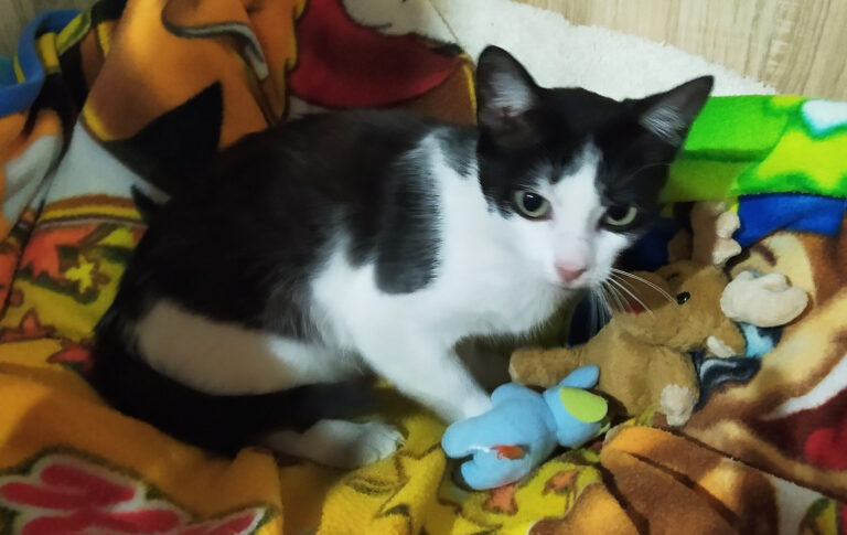 multimedia-foto64496-752-1