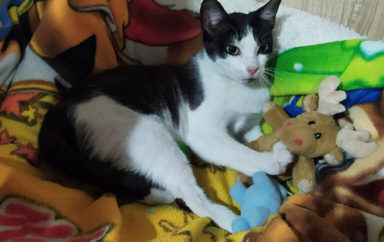 multimedia-foto64497-752-1