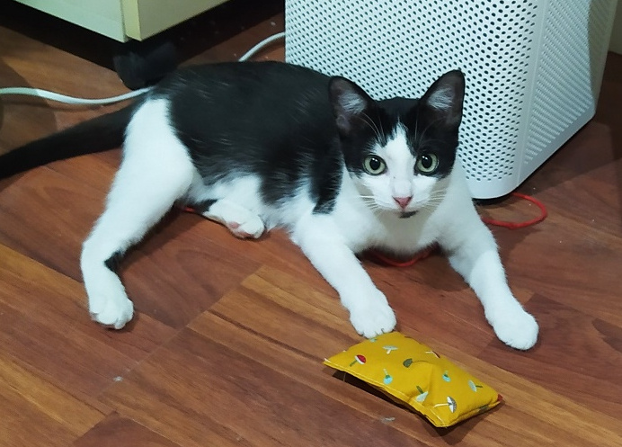 multimedia-foto64501-754-1