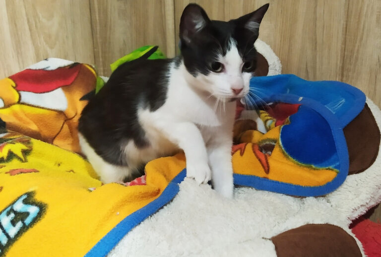 multimedia-foto64502-755-1