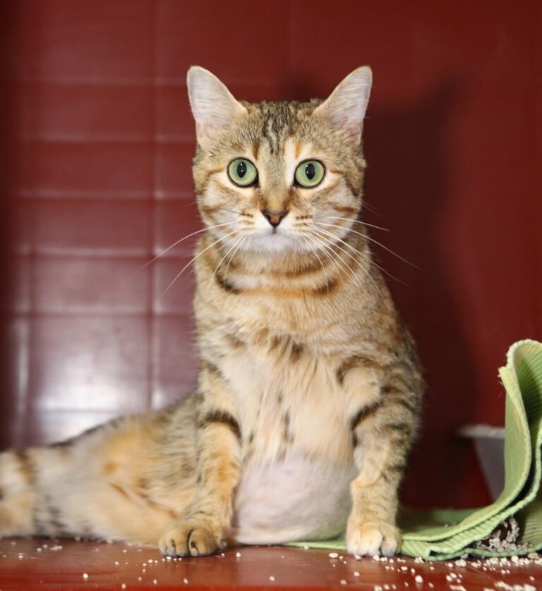 multimedia-foto64506-61-1