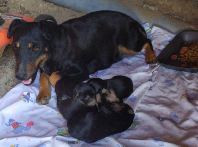 multimedia-foto64531-354-1