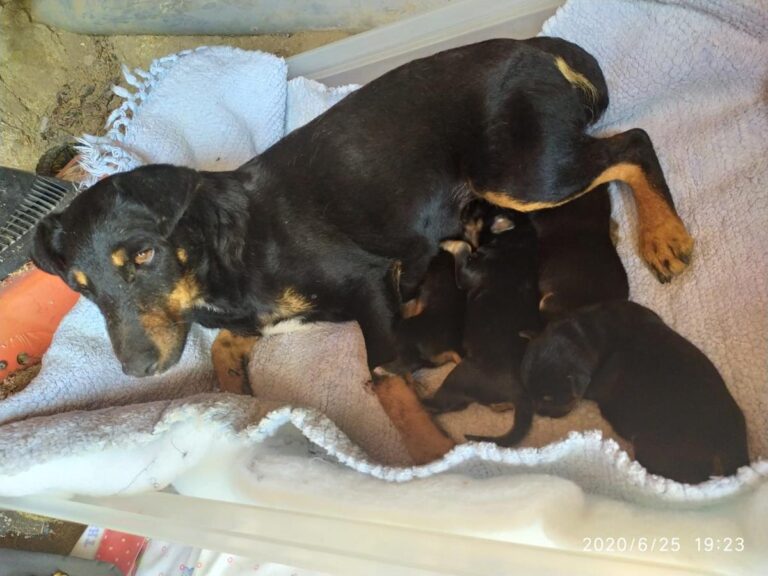 multimedia-foto64532-355-1