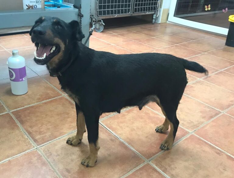 multimedia-foto64533-356-1