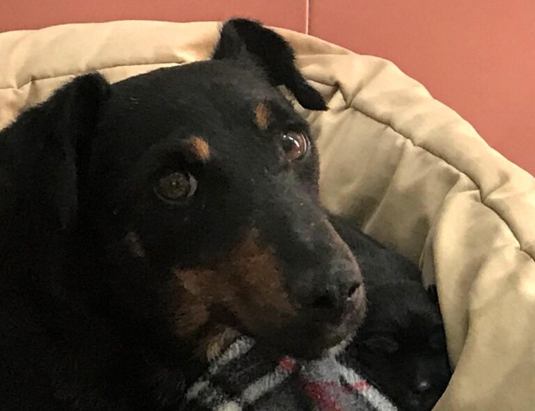 multimedia-foto64534-356-1