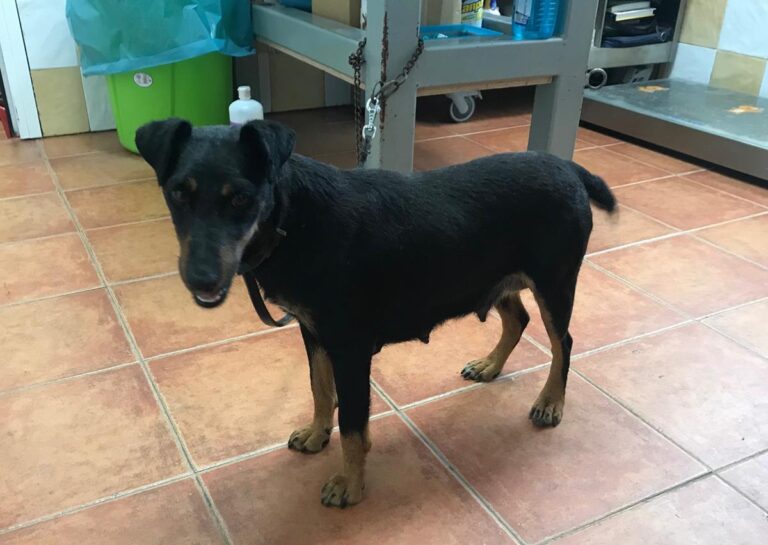 multimedia-foto64535-357-1