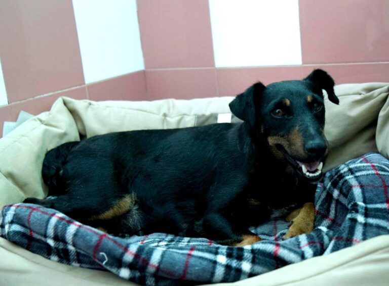 multimedia-foto64536-357-1